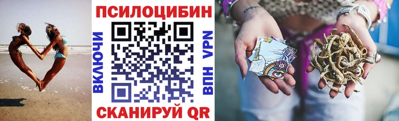 Купить где  Ярцево  Псилоцибиновые грибы Psilocybine cubensis 